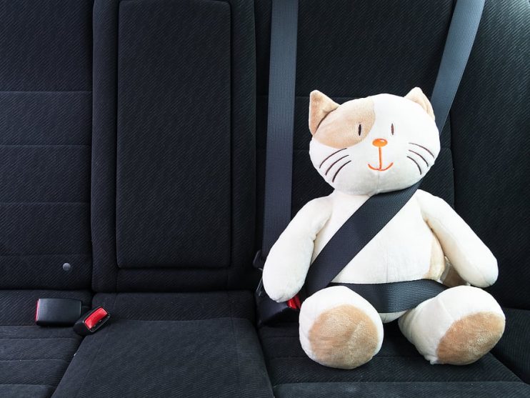 toy cat in a seat belt