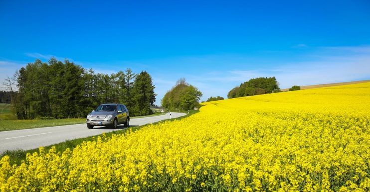 driving in spring