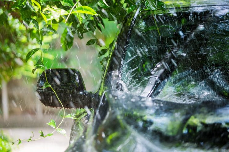 car under a tree getting covered in sap